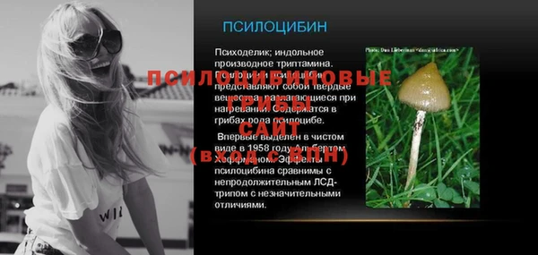 PSILOCYBIN Аркадак