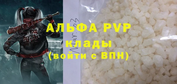 стаф Арсеньев