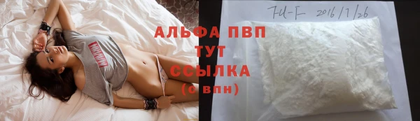 PSILOCYBIN Аркадак