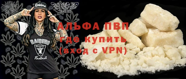 стаф Арсеньев