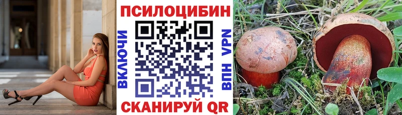 где можно купить наркотик Углегорск Галлюциногенные грибы Cubensis